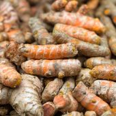 TurmericRoot.jpg